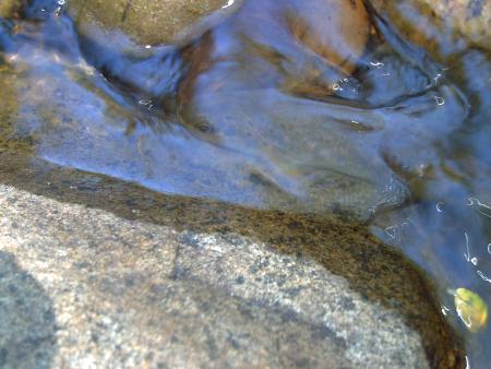 Despedida & Curueño.